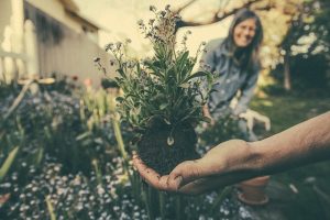 free family weekend - gardening