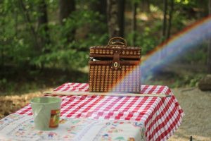 picnic table - free family day out - dynes