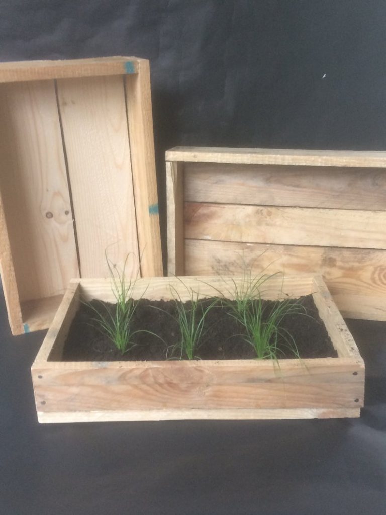 Recycled Seed Tray